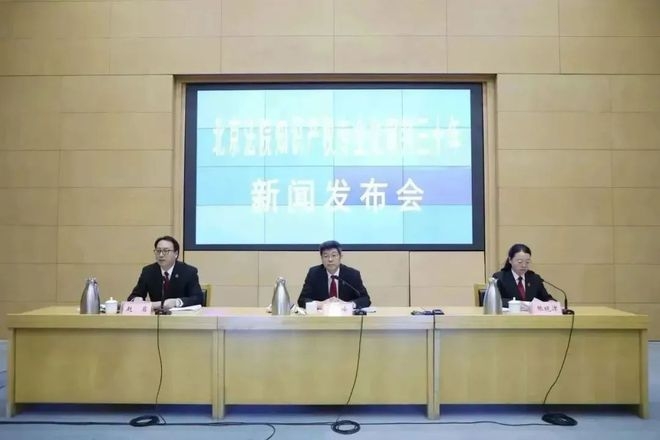 北京法院知識產(chǎn)權專業(yè)化審判三十年典型案例